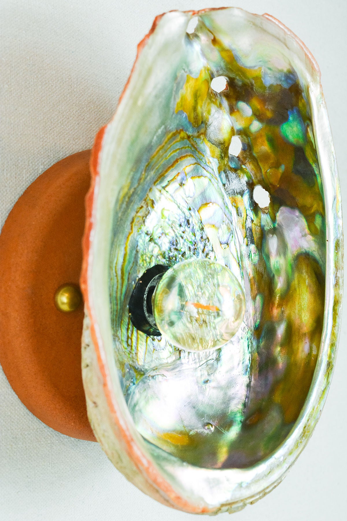Iridescent abalone shell interior detail of Siren's wall sconce