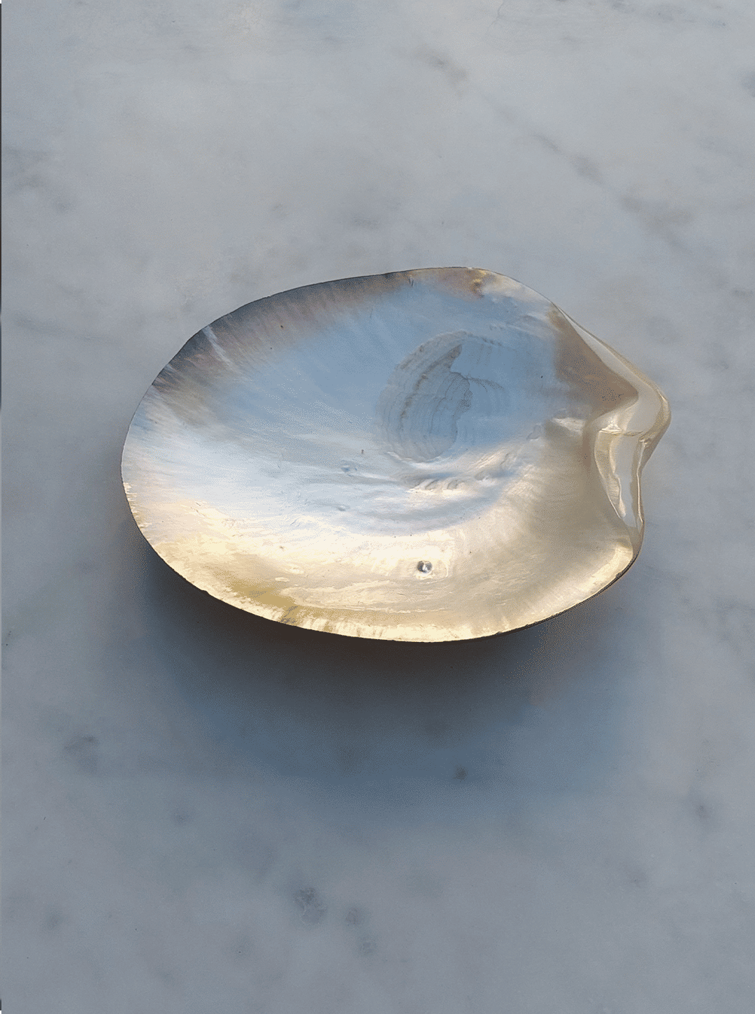 Mother-of-pearl vide-poche curved detail on marble surface