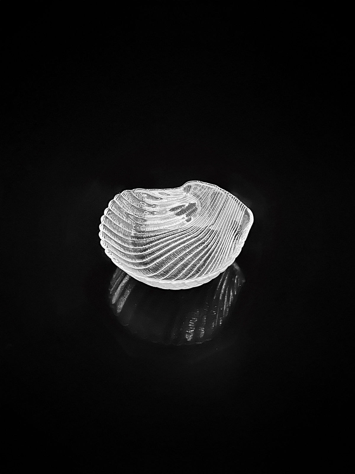 A single, intricately detailed glass serving dish from the Dodo Vintage collection is illuminated against a stark black background. Its unique shape resembles that of a seashell, casting subtle reflections that create a striking contrast and highlight the dish's delicate patterns.