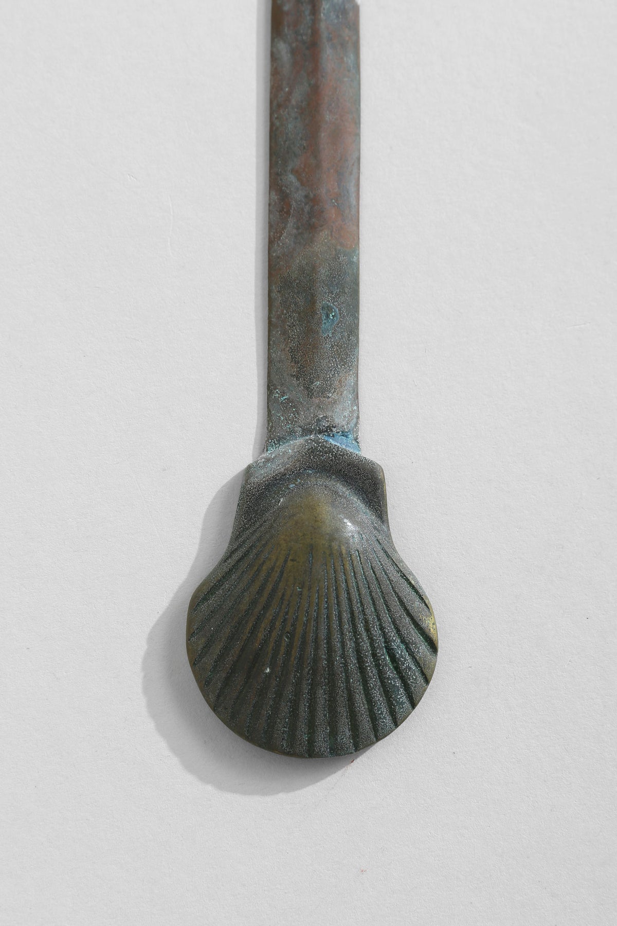 Brass shell letter opener showing patina detail and handle