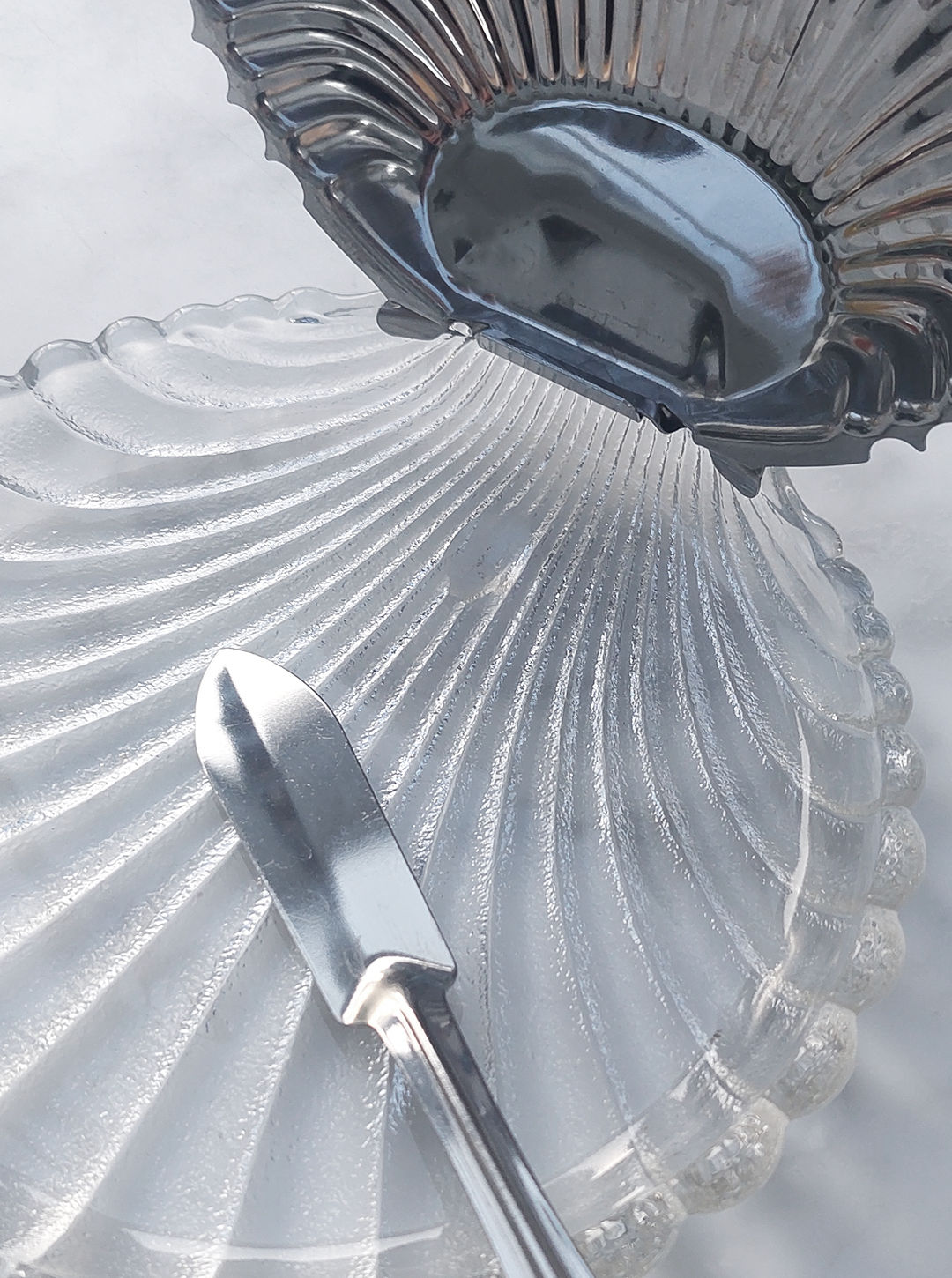 Decorative Butter Dish Shaped Like a Large Seashell with a Glossy Finish