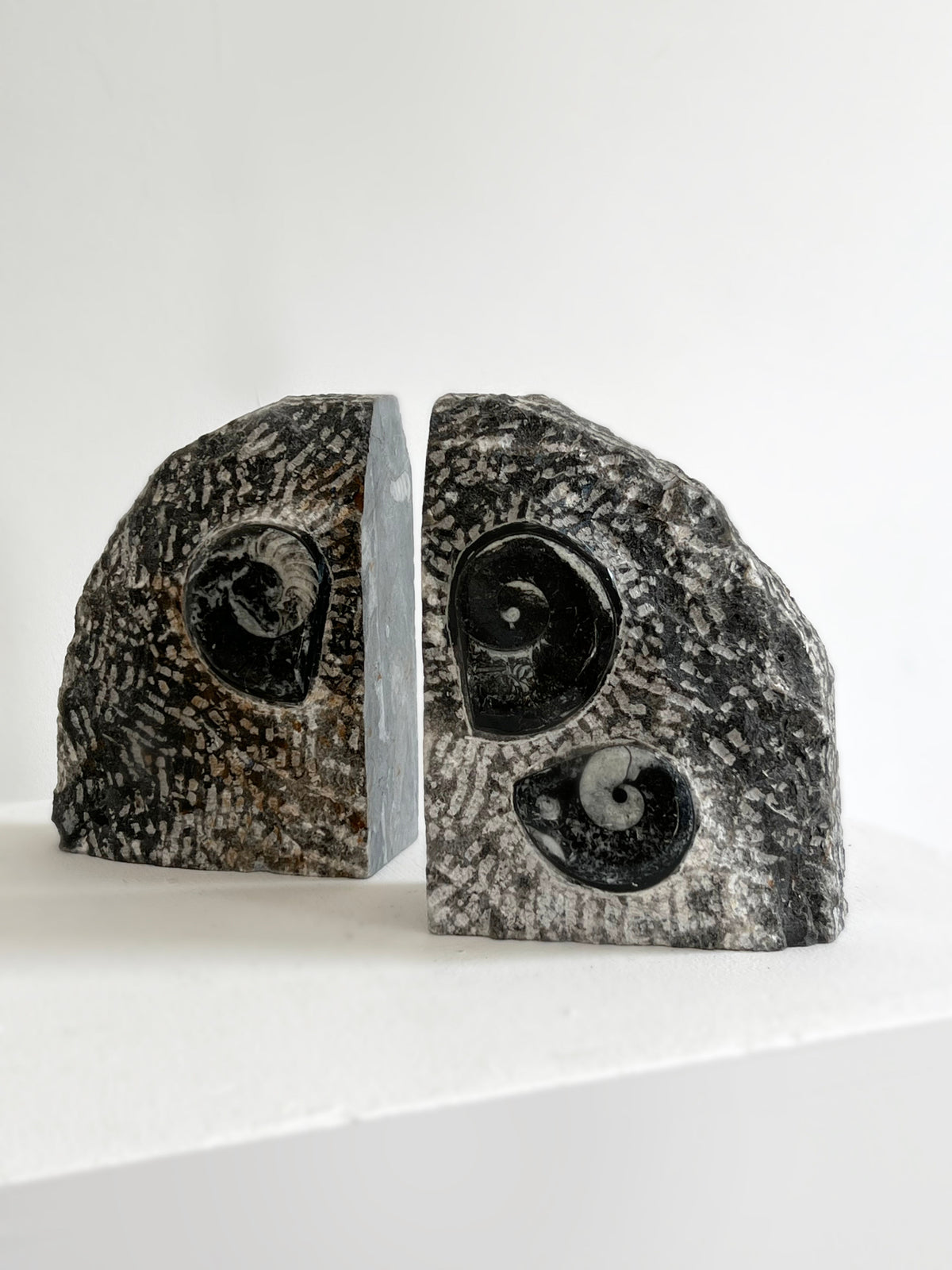 The Fossilised Orthoceras Bookends by Porter Studio feature two upright, dark honed stone halves with striking black and white spiral fossils, displayed slightly apart on a white surface against a plain backdrop.