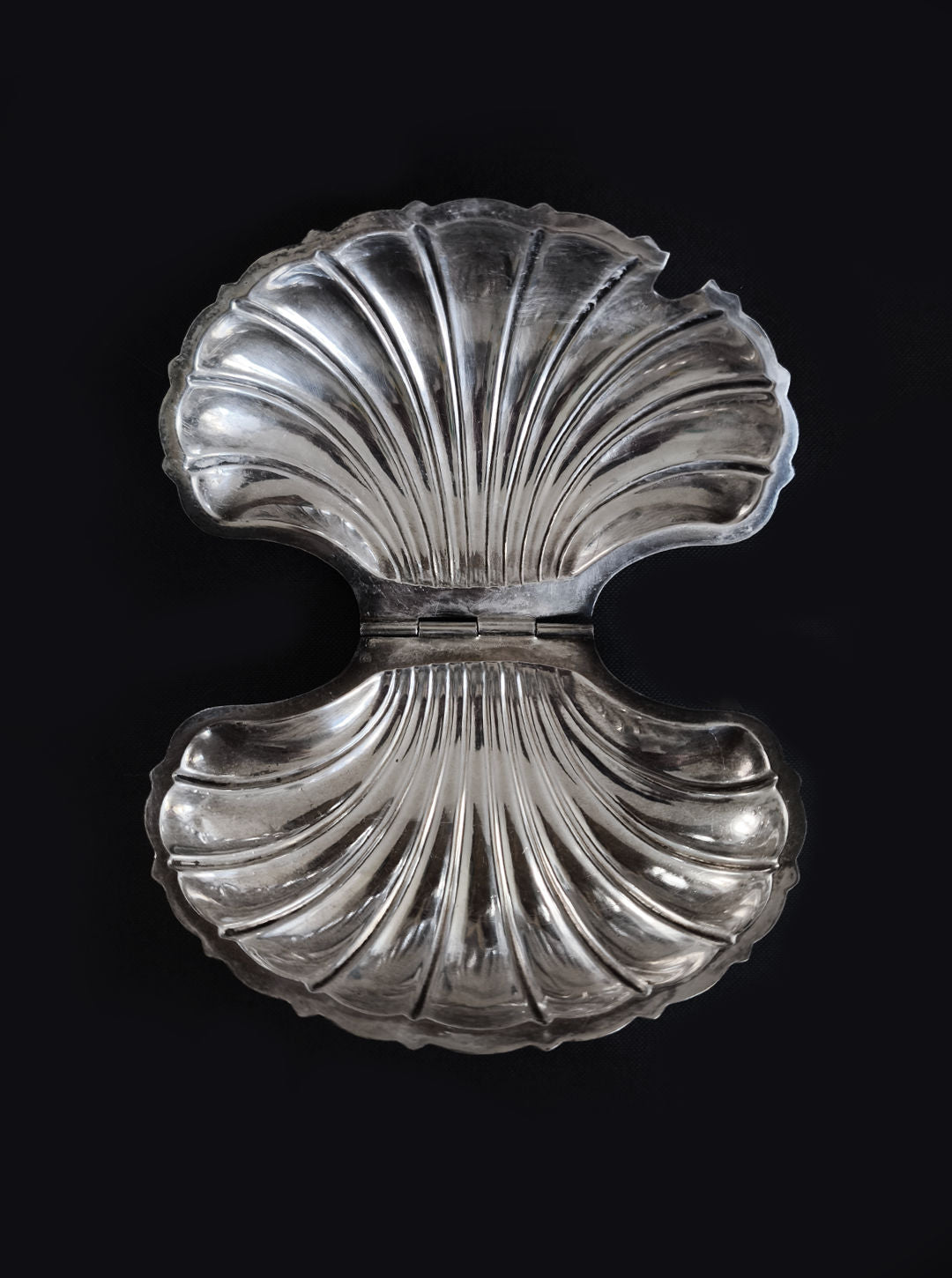 Silver shell-shaped decorative box with hinged lid, luxury storage