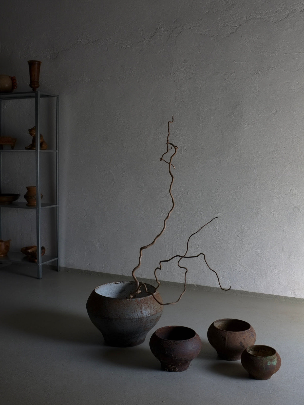 Vintage iron cooking pots arranged with curly branches on shelf