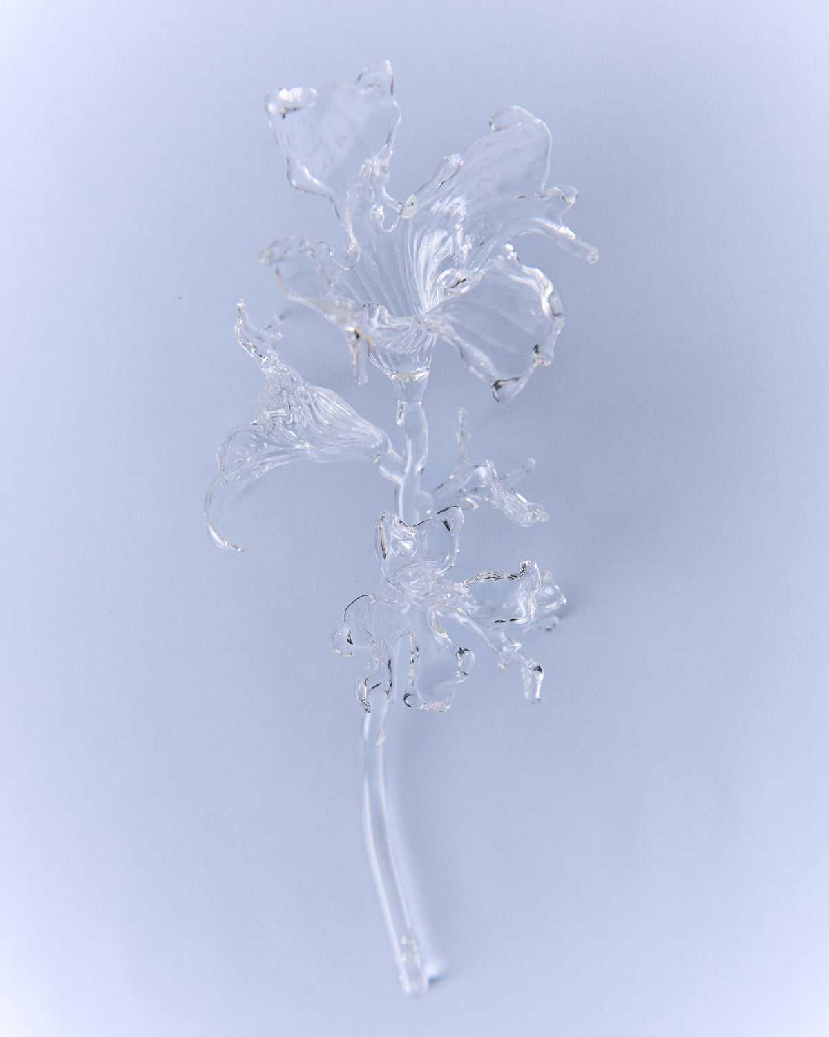 Glass Flower Organic Bouquet  — side angle