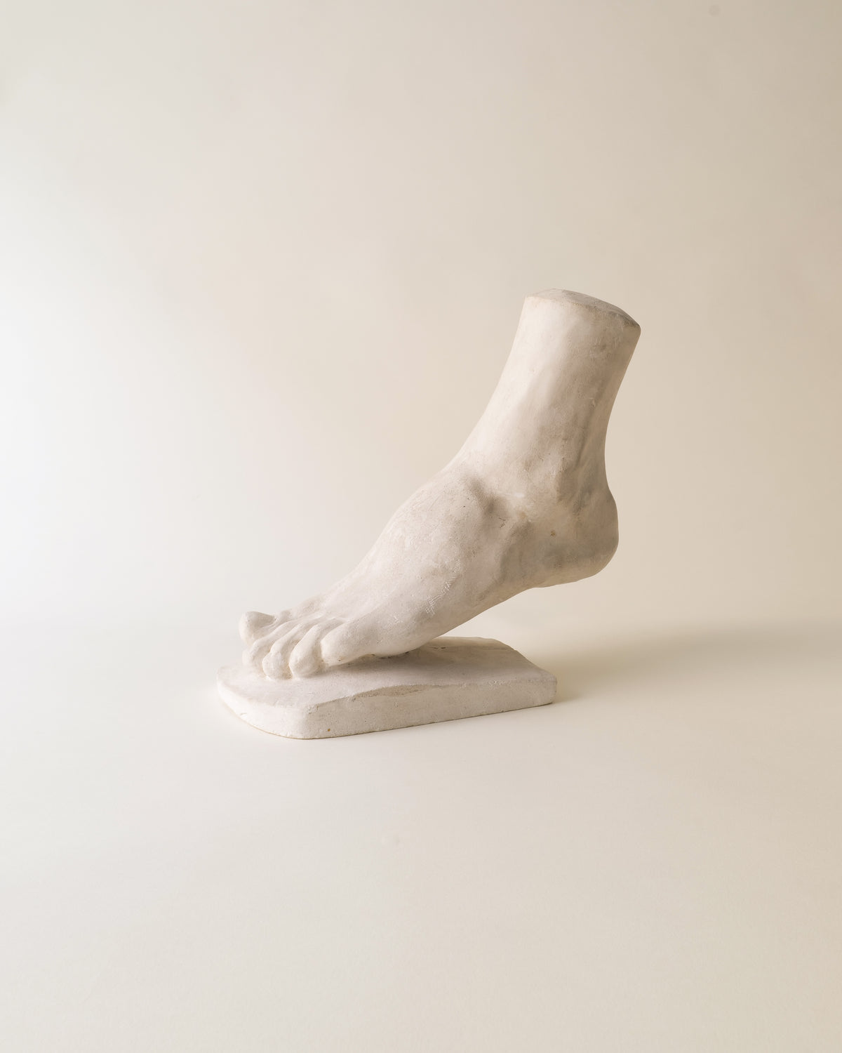 White marble anatomical foot sculpture on base, classical study