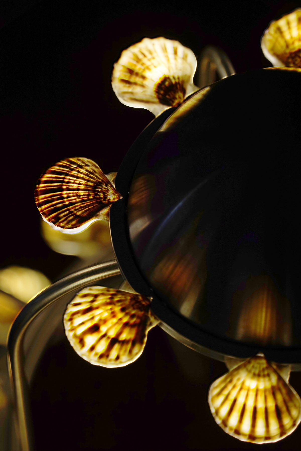 The Lamp With Shells — additional view