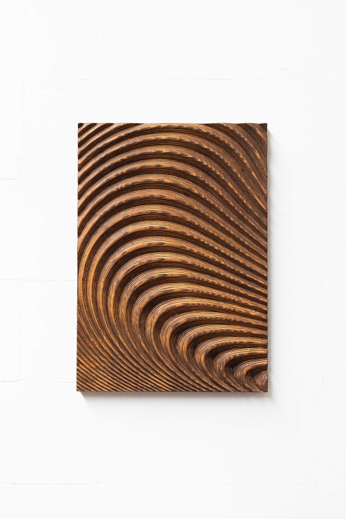 wall sculpture organic — side view of textured wood pattern