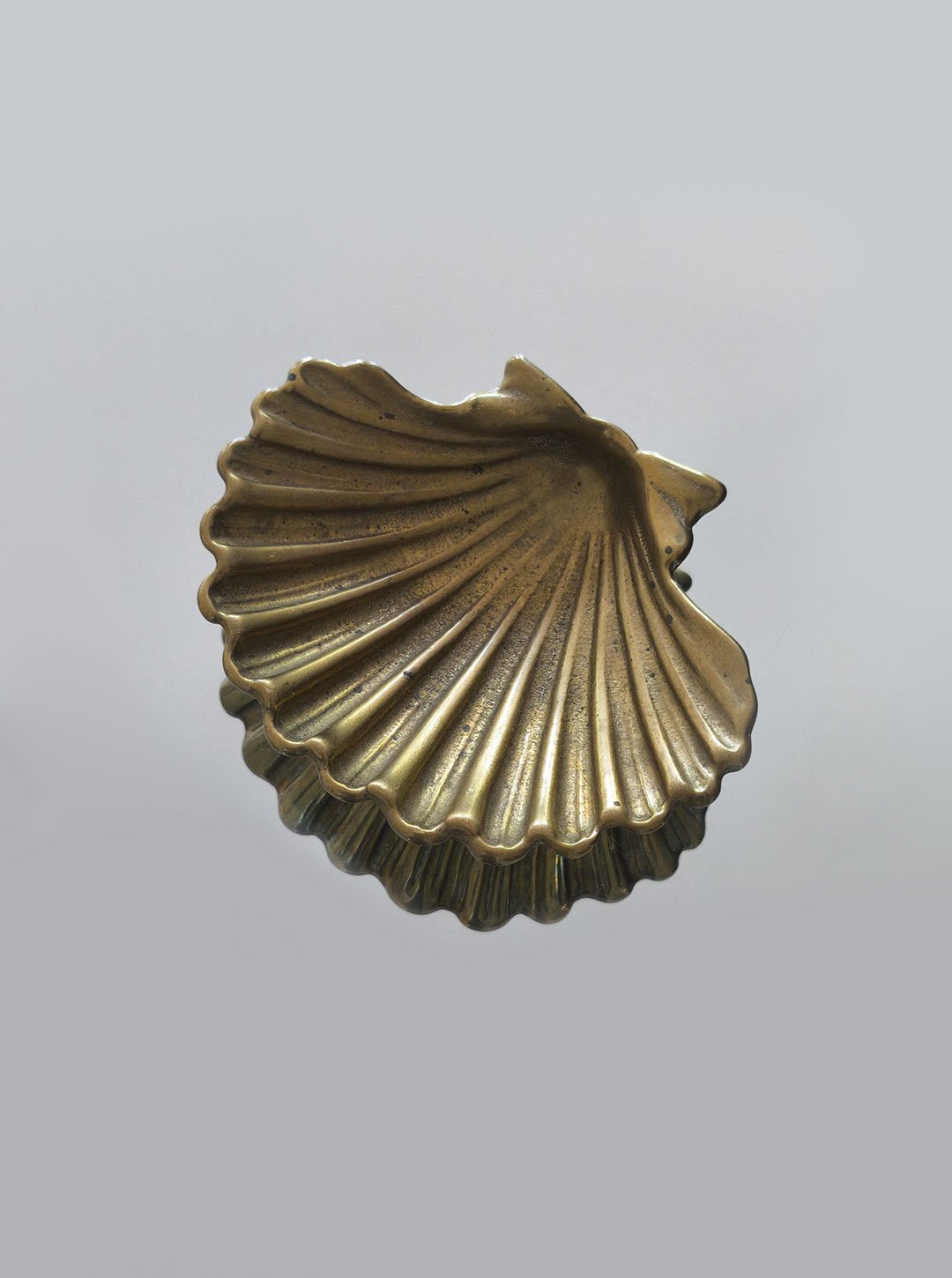 Shell Brass Vide-Poche — close-up