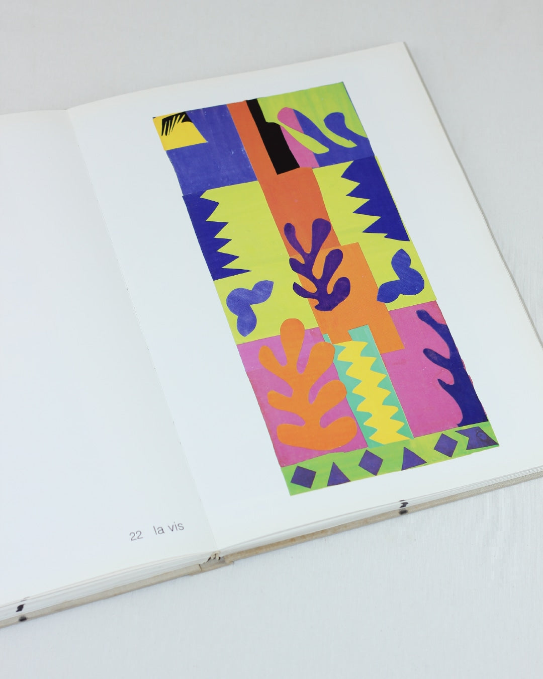 MATISSE PAPER CUTOUTS — top view of colorful paper cutouts on page