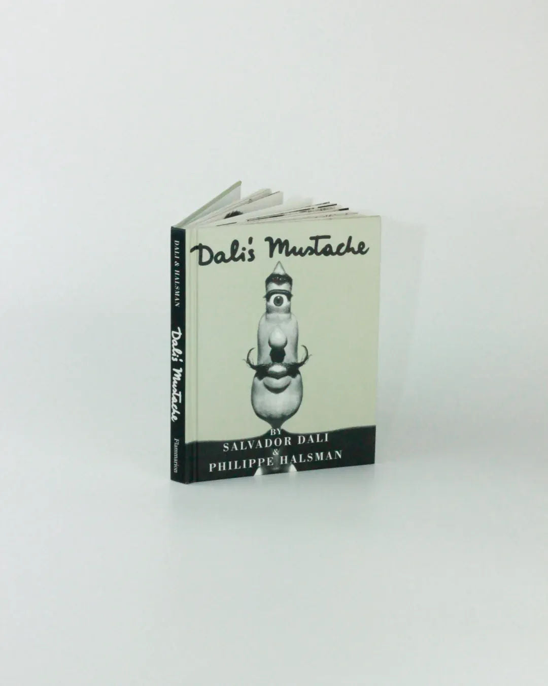 Dali's Mustache — front view of hardcover art book