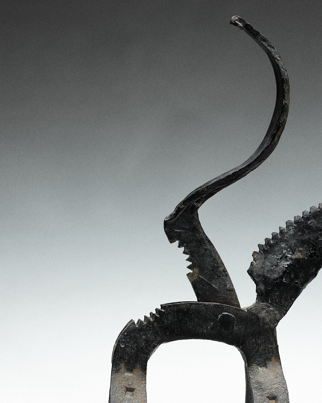 brutalist nutcracker, donkey — close-up of textured dark metal surface