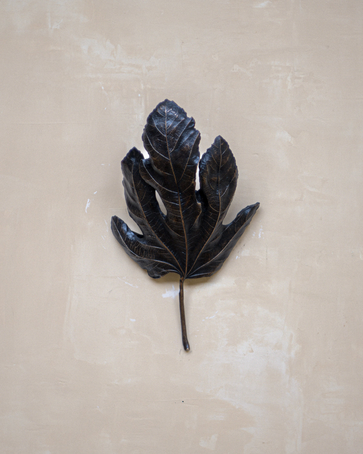 Bronze fig leaf wall light detail showing intricate leaf veining