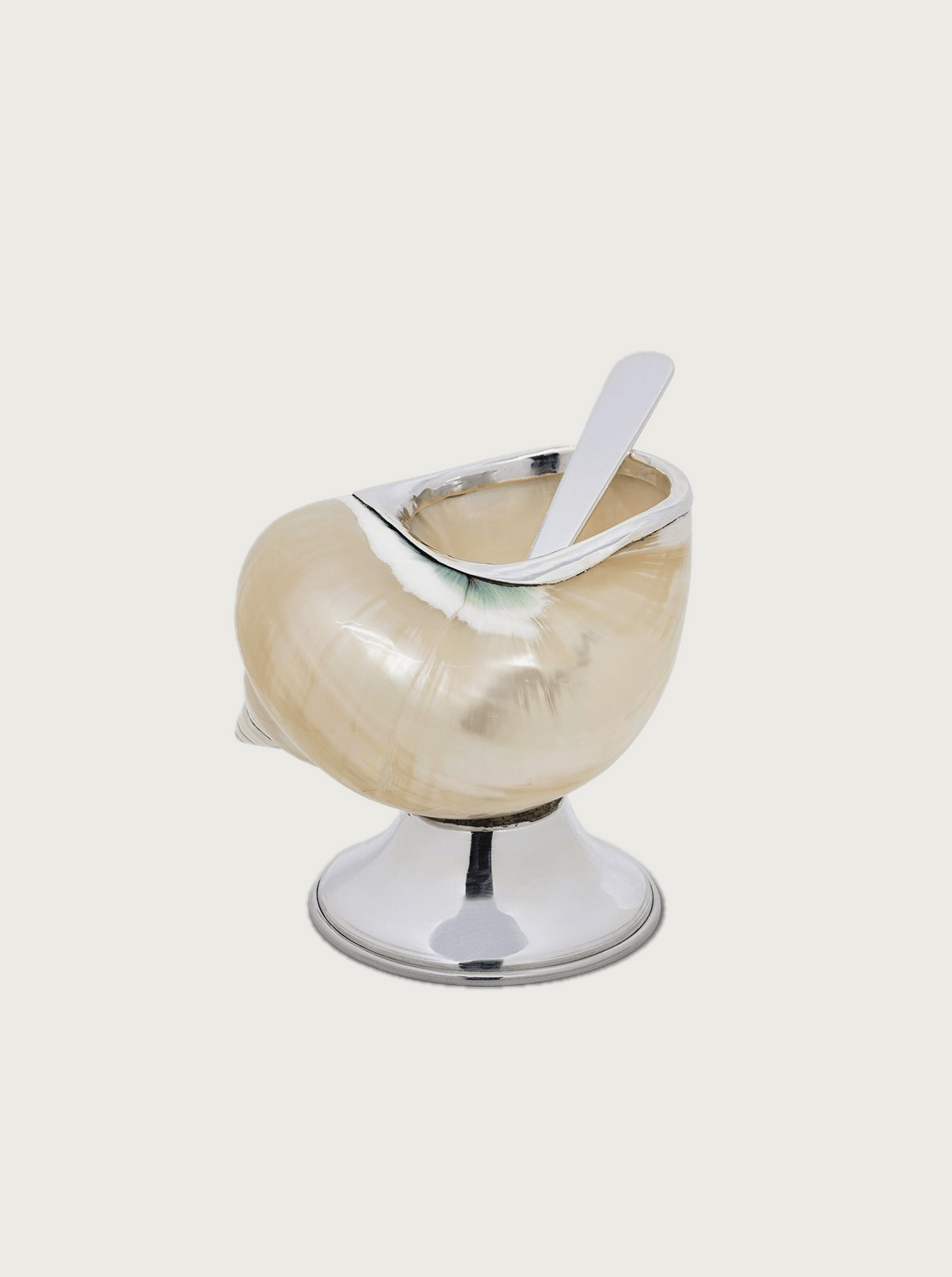 Shell Sugar Bowl — top view of shell design with silver spoon