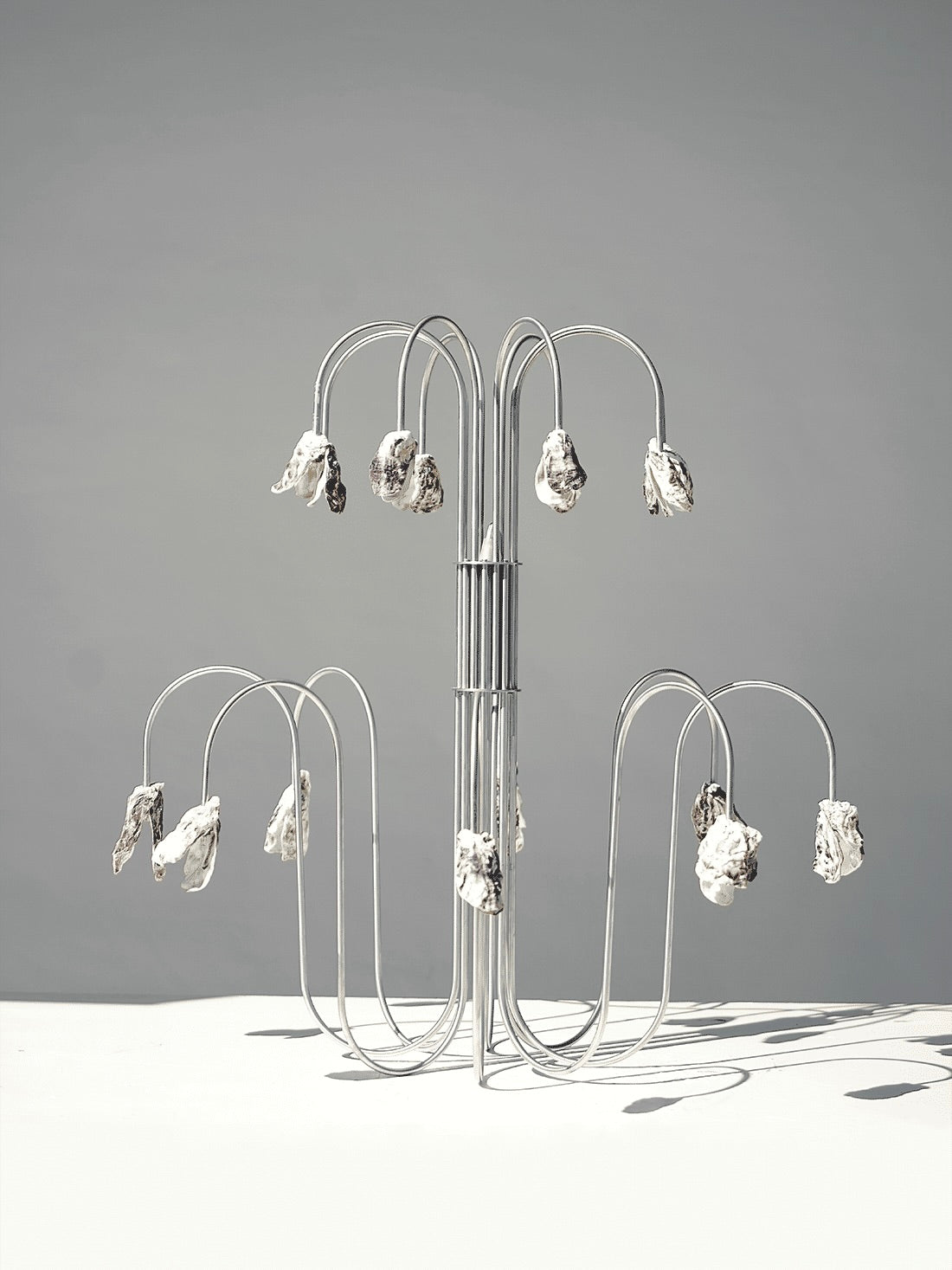 Chandelier With Pendant Light in Metal and Shell — detail view