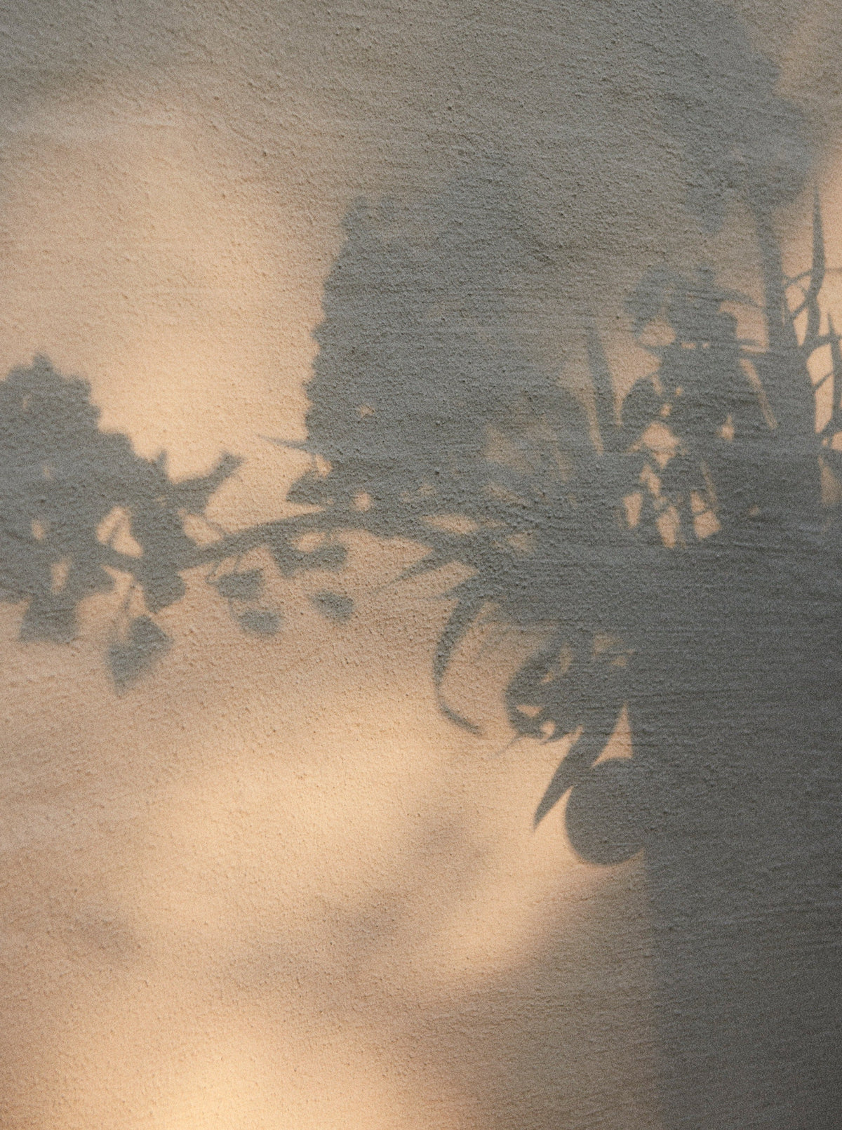 Oliver Vase — top view showing floral shadow on wall