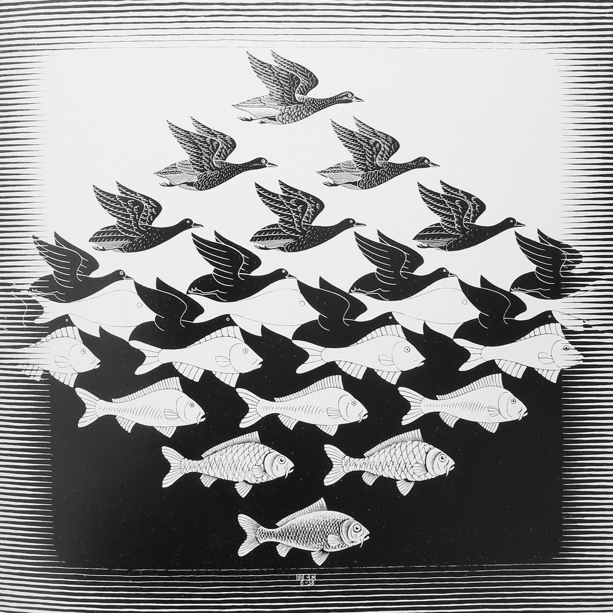 M.C. Escher Book — black and white illustration of birds and fish