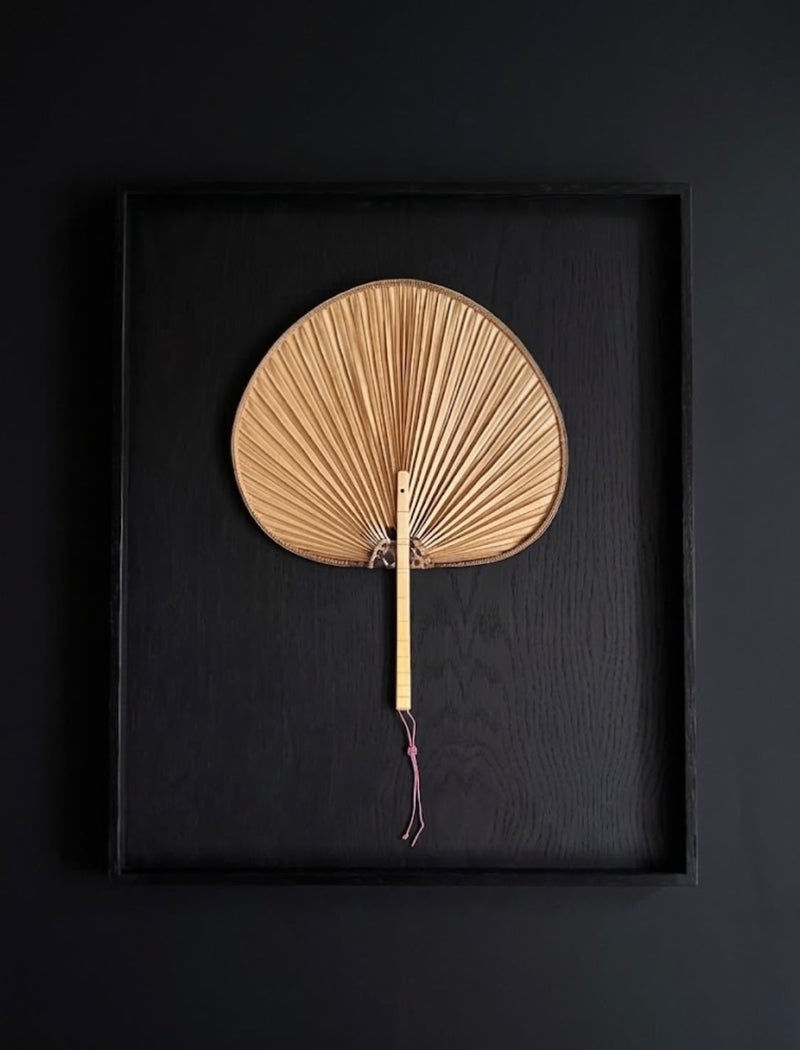 Antique Palm Leaf Fan in Frame by Médecine | The Oblist