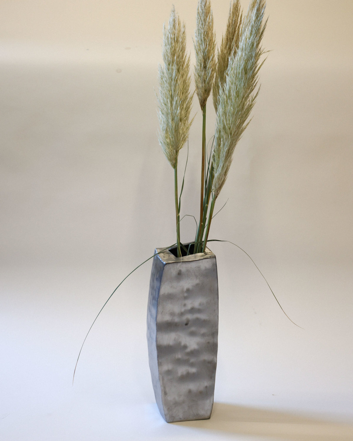 Hammered steel vase with pampas grass stems on neutral background