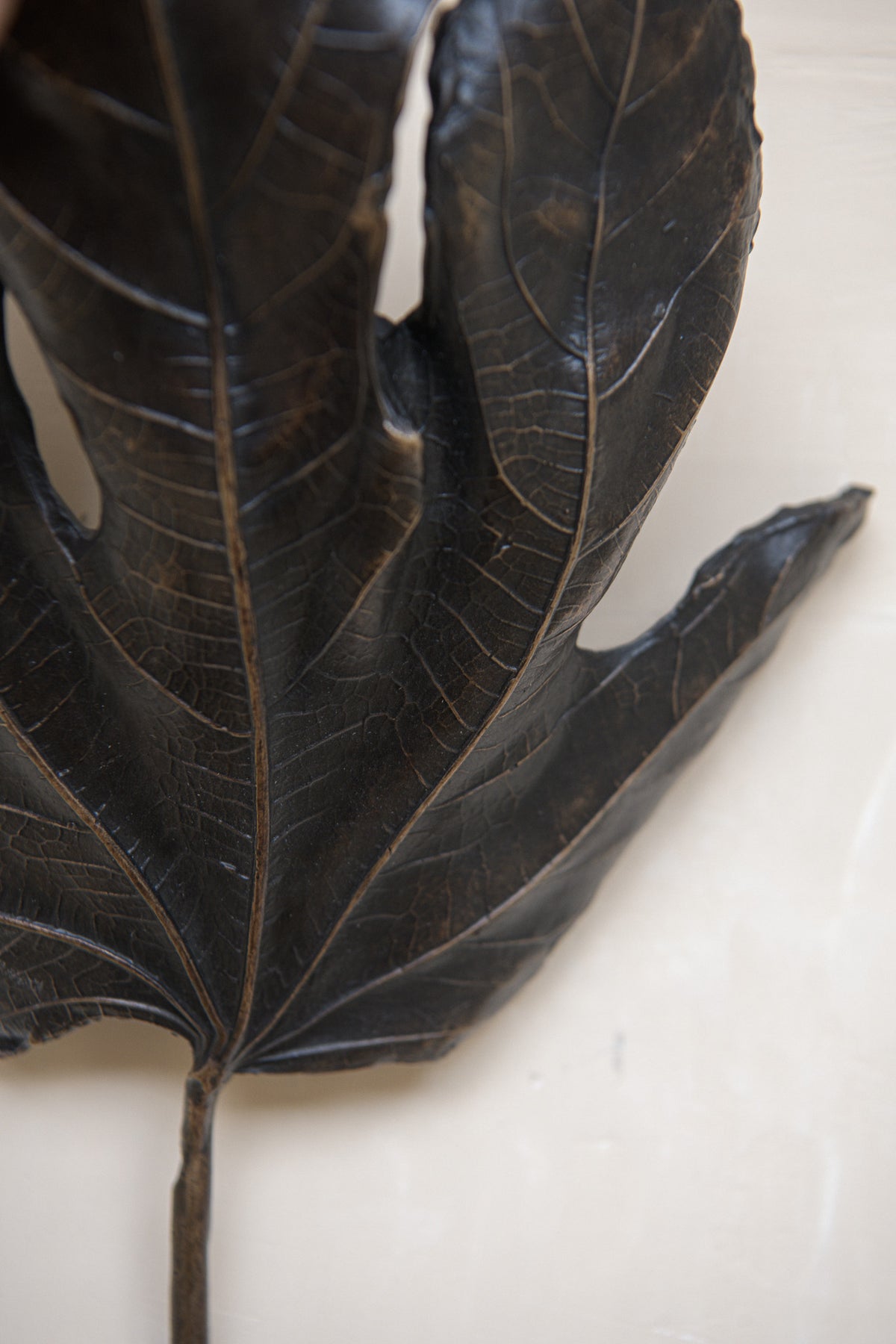 Bronze fig leaf wall light detail showing intricate leaf veining