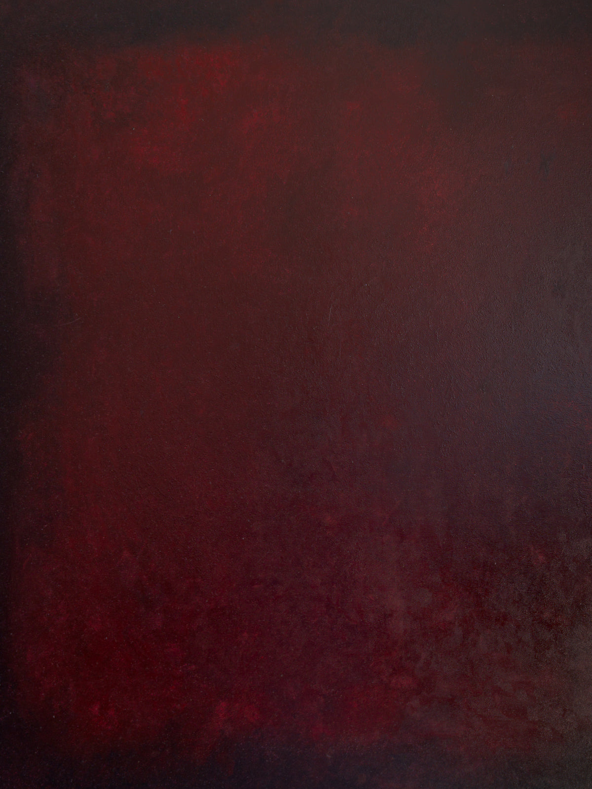 Oil painting by Aimée Adriaansen, Burgundy (2024) — close-up of deep red textured surface