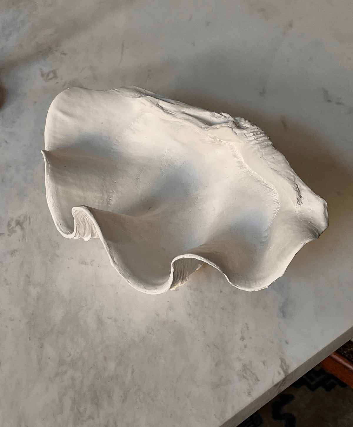 Clam Shell Bowl - Handmade Plaster Sculpture — side angle