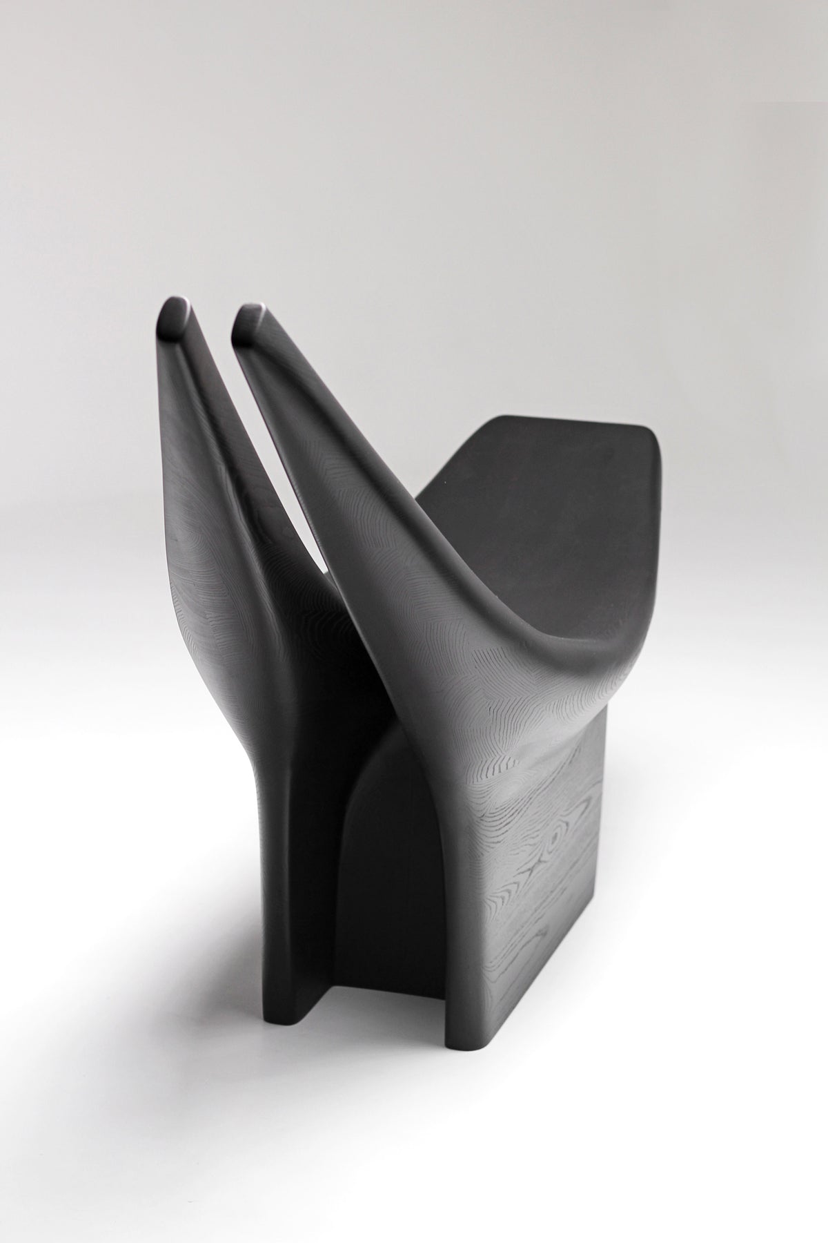 Dym Lounge Chair — angled view highlighting black wood finish