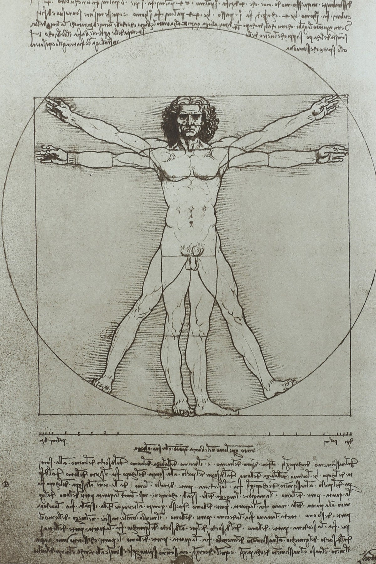 Leonardo da Vinci Book, 1956 — detail view