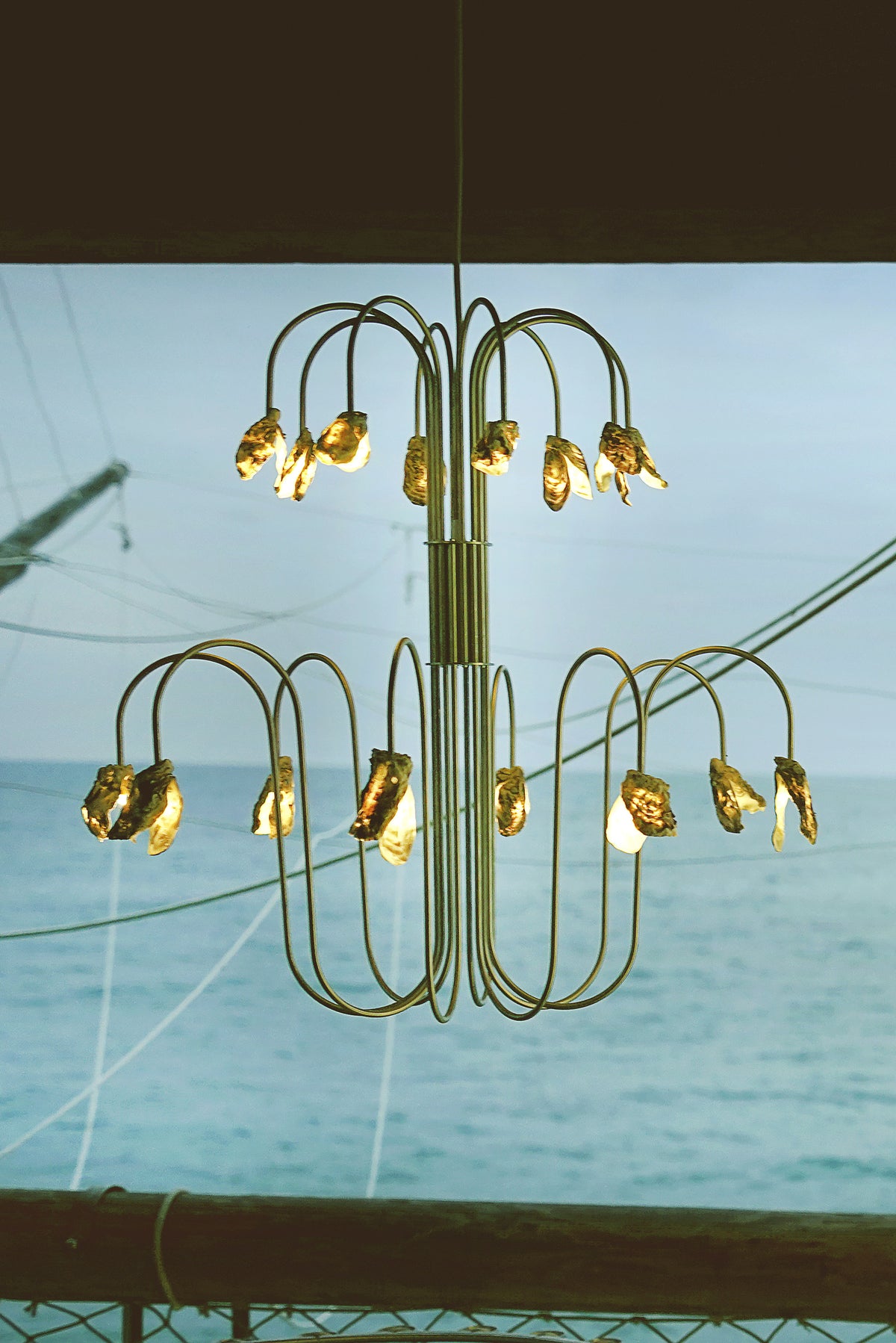 Chandelier With Pendant Light in Metal and Shell — close-up