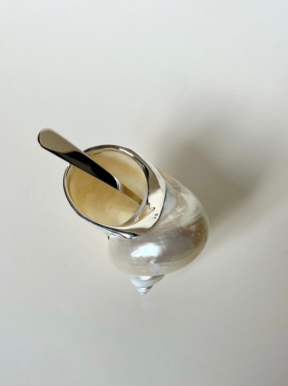 Shell Sugar Bowl — top view showing iridescent shell material