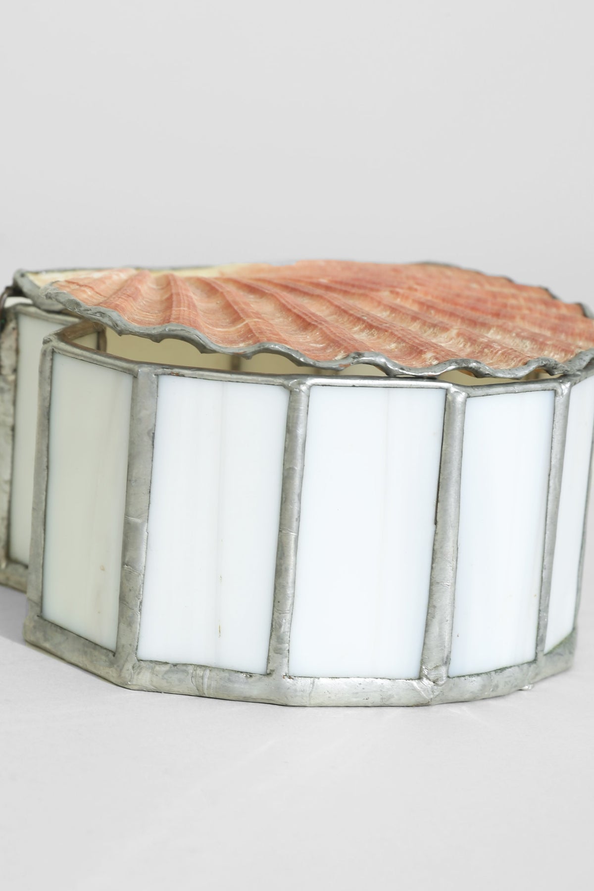 Scallop Shell Jewelry Box — detail view
