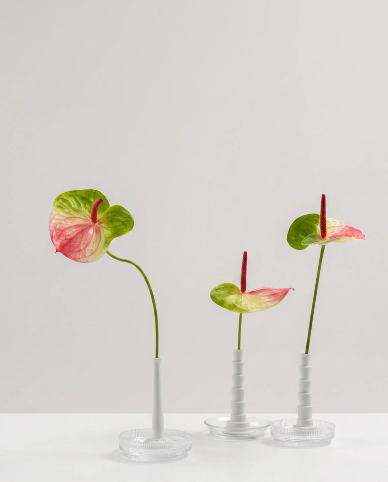 Miniflore flower holder by Claude Courtecuisse by Source Edition | The Oblist
