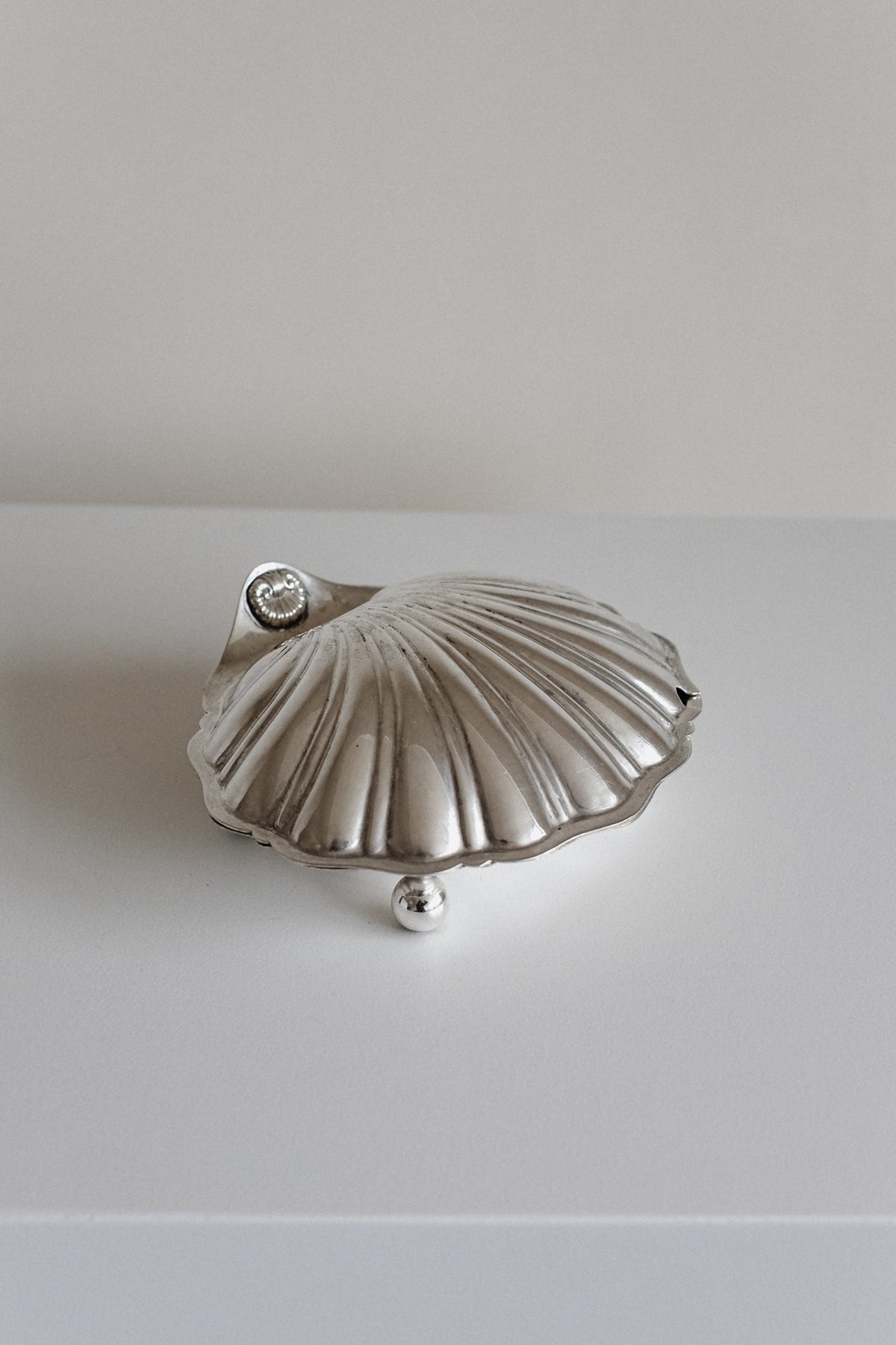 Large Shell Shaped Dish — side angle showing textured silver surface