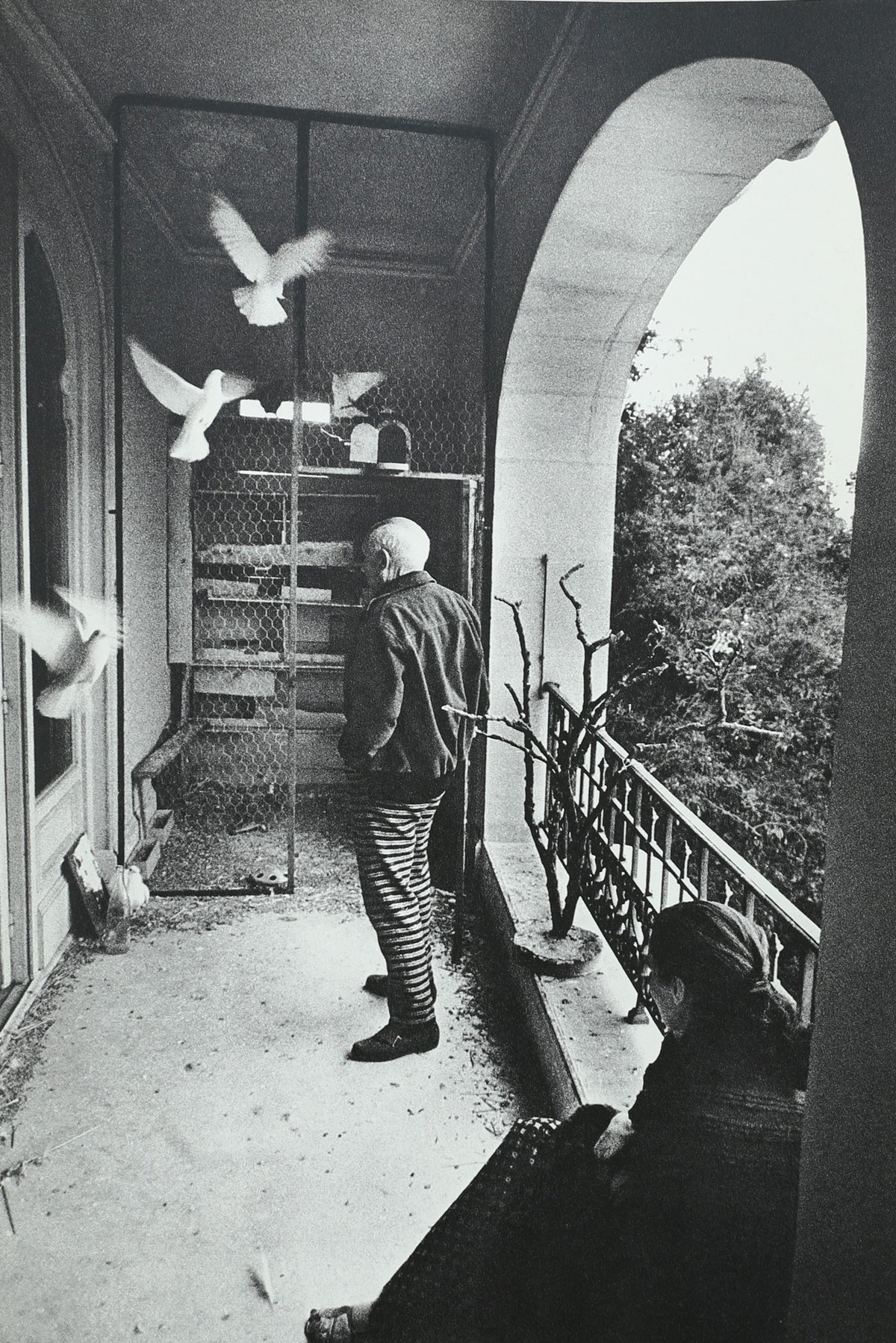 Goodbye Picasso Book — view 10