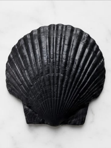 Fossil Shell Plate — black ceramic dish on marble surface