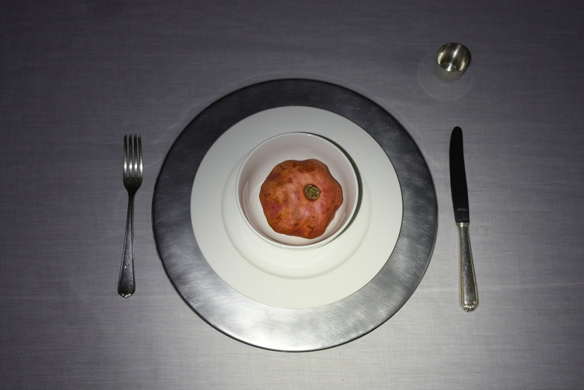 TRACES — Stainless Steel Plates — in context