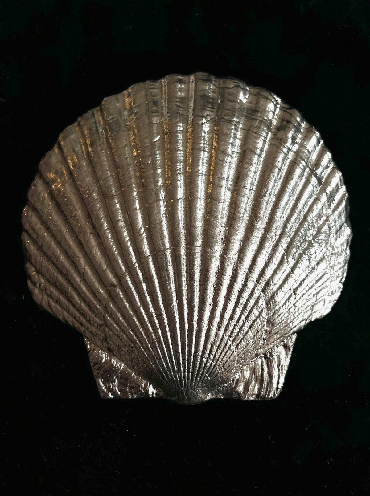 The Fossil Shell Plate in Silver by Médecine features detailed metallic ridges and texture, displayed against a solid black background—an exquisite handmade piece ideal for decorative tableware.