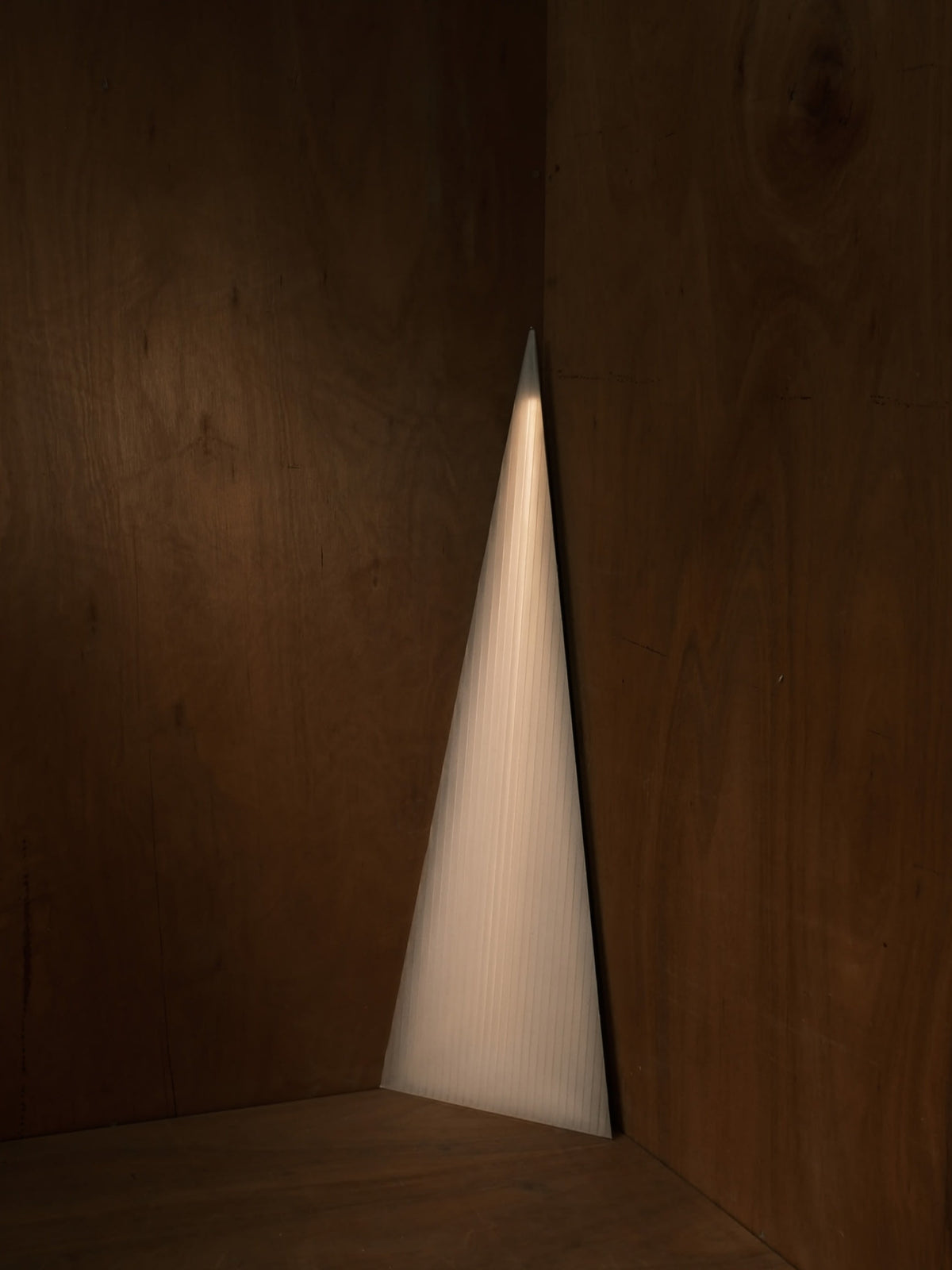 C-CONE opaque — additional view