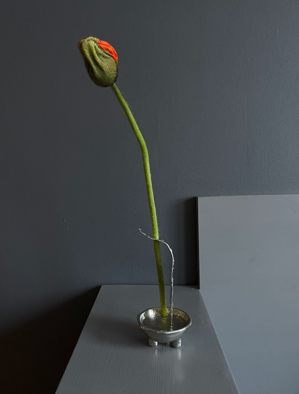The Tin Collection / Favorite Vase — modern metal vase with green stem