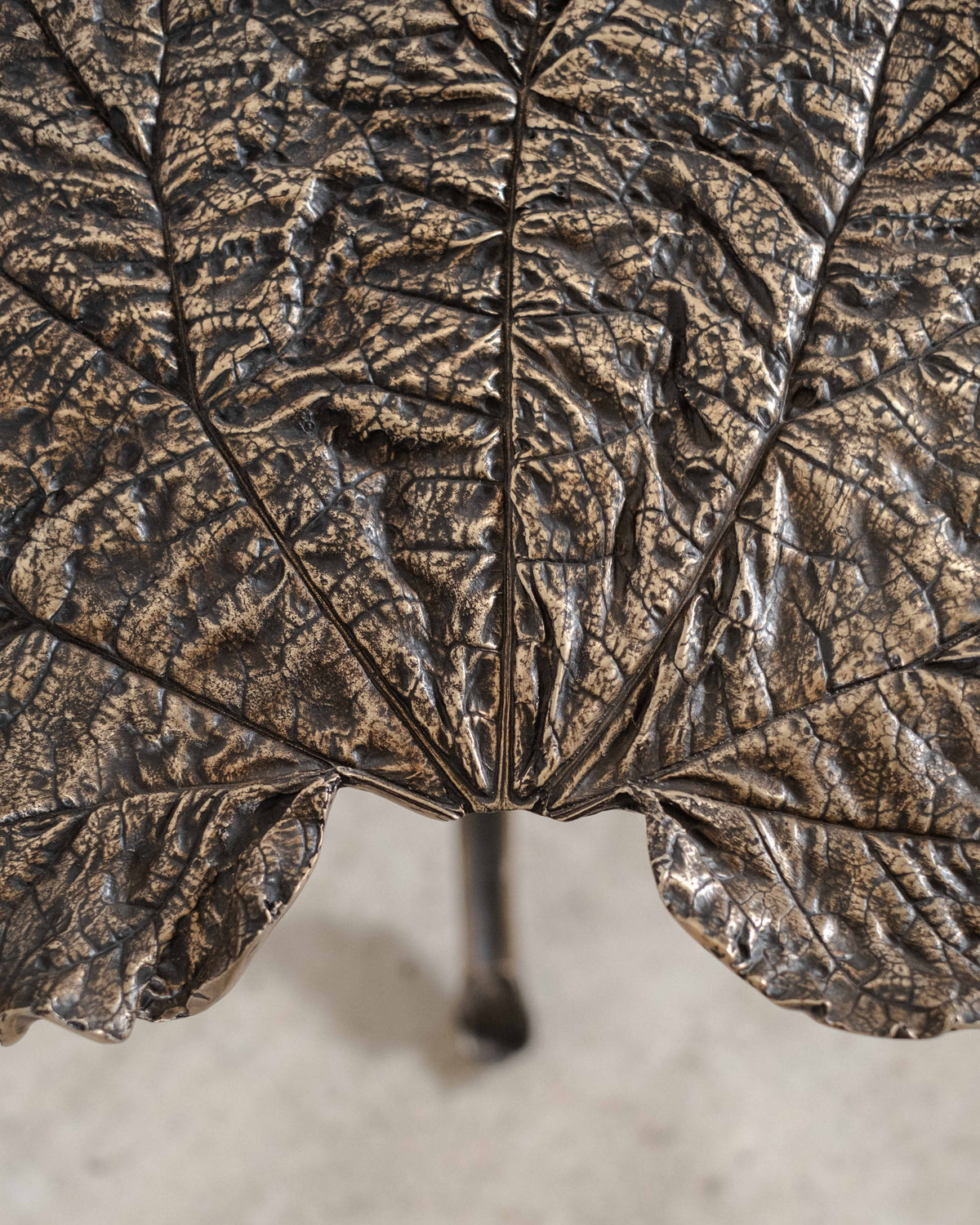 Close-up detail of bronze rhubarb leaves on sculptural side table