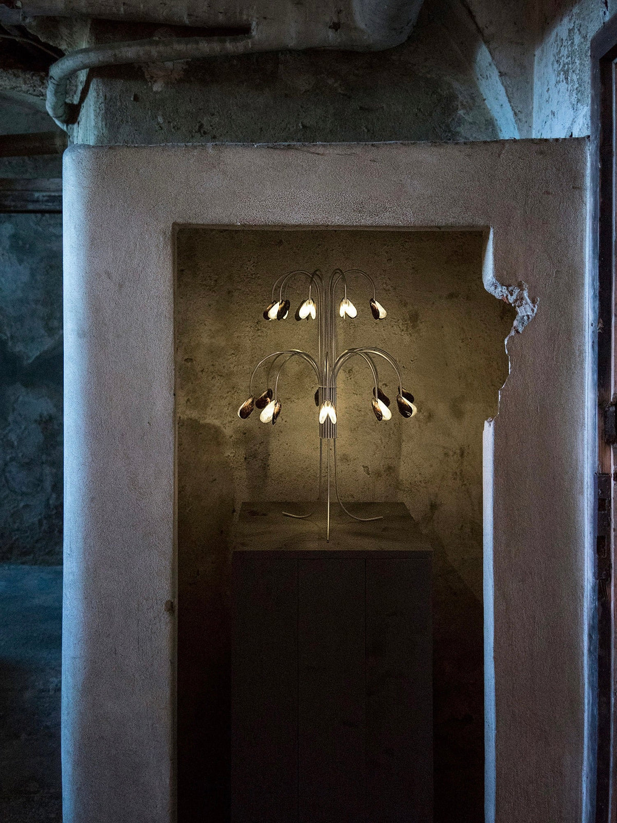 Shell Light — in context