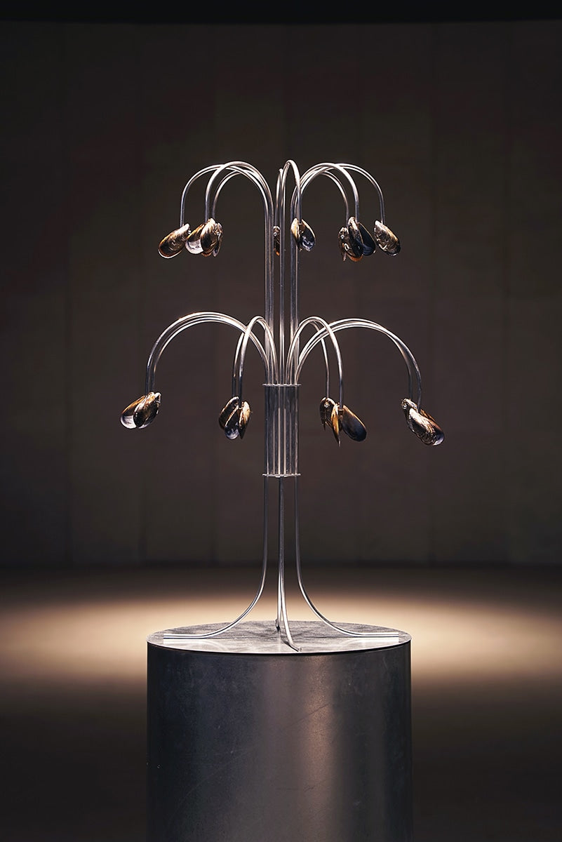 Shell Light by Touch With Eyes | The Oblist