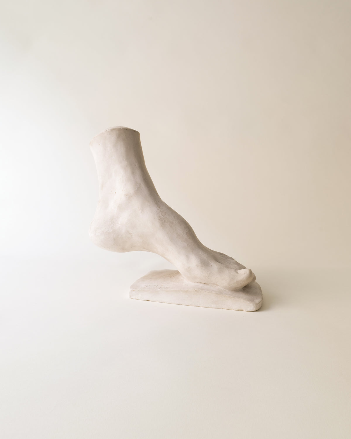 White marble anatomical sculpture on rectangular base, abstract organic form