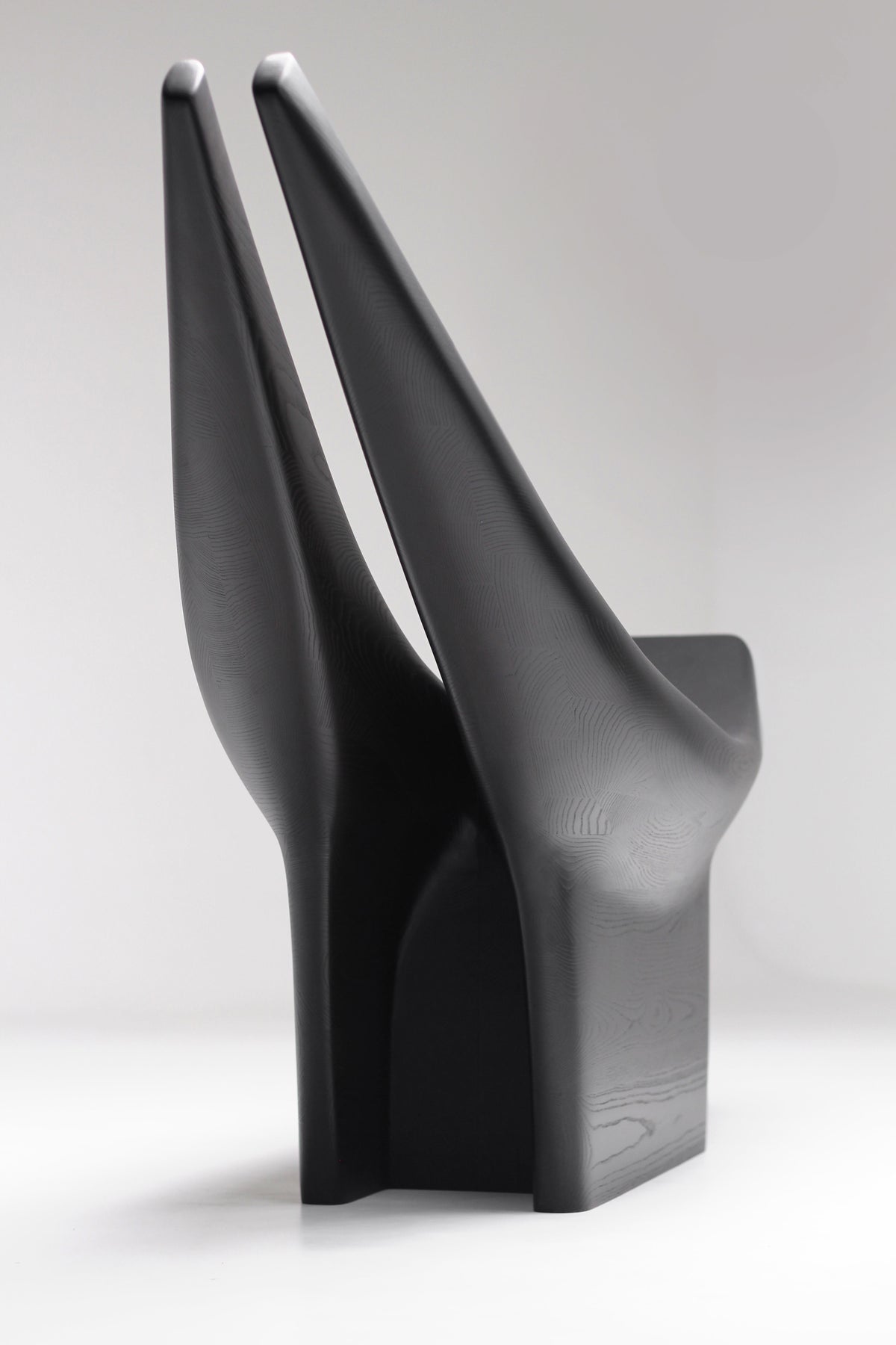 Dym Lounge Chair — close-up of black sculptural backrest