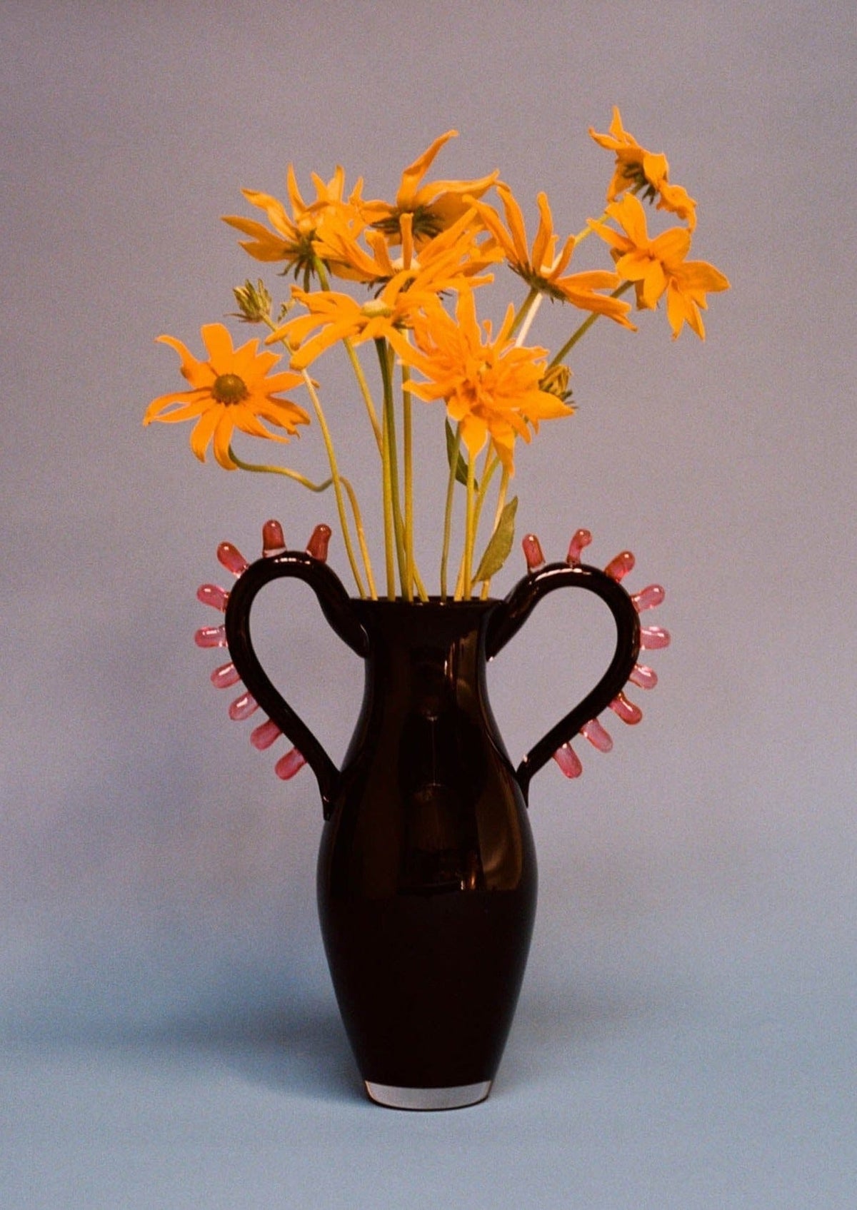 The L'Aurore Vase by Sophie Lou Jacobsen is a glossy black piece with ornate handles and pink accents, cradling bright yellow flowers with elongated petals. It offers luxury and contemporary design against a soft blue background, ideal for any sophisticated interior.