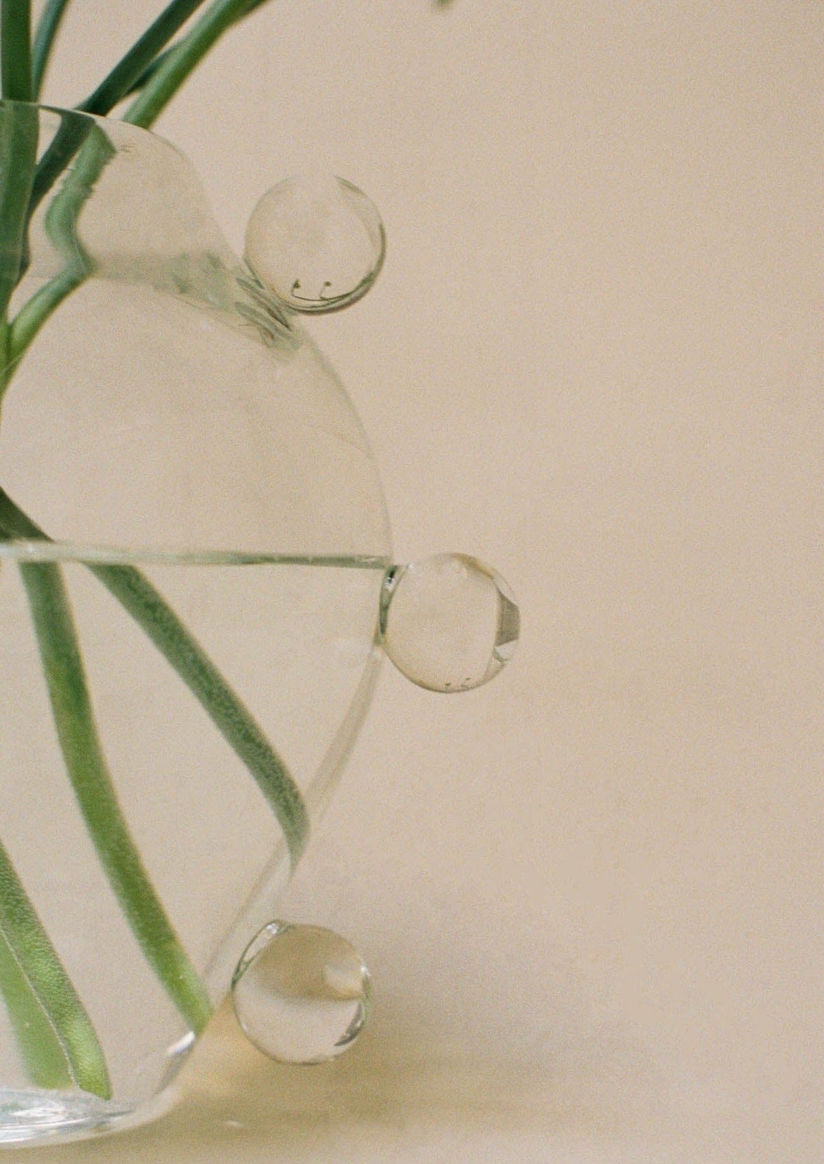 Close-up of the La Lumiere Vase by Sophie Lou Jacobsen, featuring round protrusions and containing green stems. Set against a neutral background, it highlights sculptural design and organic lines. Its minimalist aesthetic adds elegance to any space.