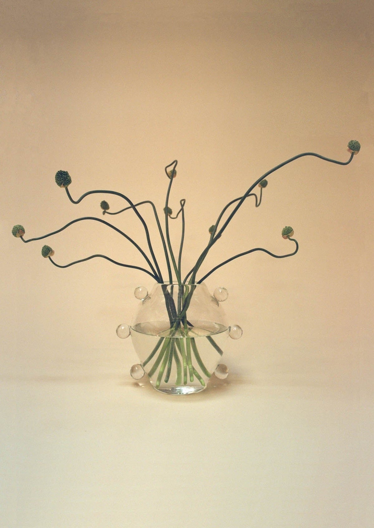 Curved green stems with small buds are gracefully arranged in the La Lumiere Vase by Sophie Lou Jacobsen—a clear, rounded glass design adorned with decorative bubbles. This handcrafted piece exudes a sculptural presence enhanced by a soft beige background and minimalist aesthetic.