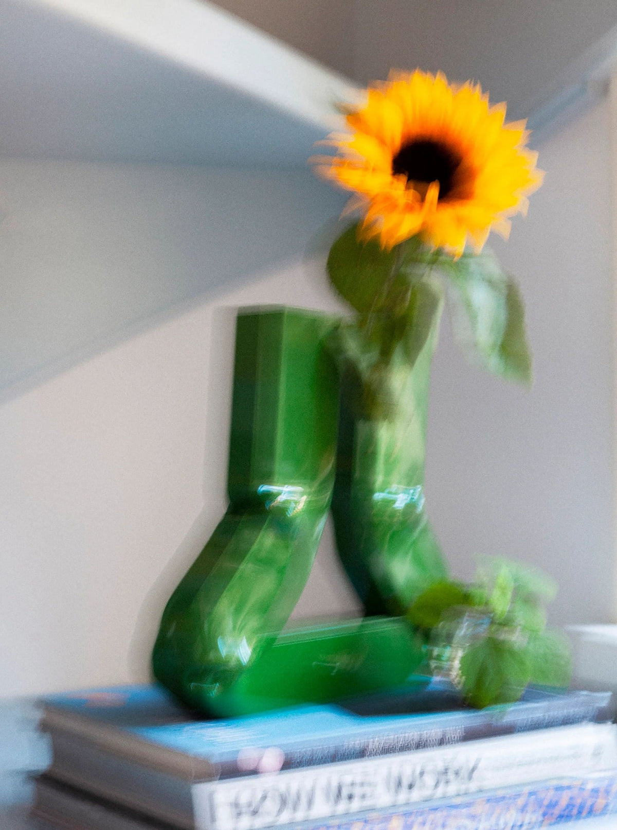 Group of grass green Vasi Vases arranged in a beautiful display at a botanical garden exhibit