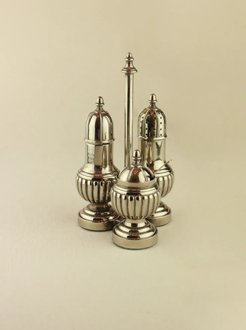 Silver Seasonings Set featuring a sleek metallic design, includes salt, pepper, and other essential spices for your kitchen